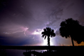 Lightning illuminates a purple sky, palm trees and the water at the St. Johns River west of Cocoa, - PhotoDune Item for Sale