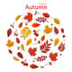Autumn Colorful Leaves Sale Background. Vector. - GraphicRiver Item for Sale