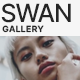 Swan - Store Gallery Promo - VideoHive Item for Sale