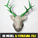 Deer Head 3D Model & Pepakura File - 3DOcean Item for Sale