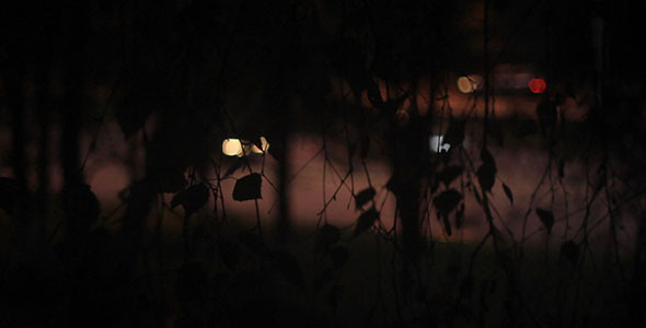 Night City Traffic Bokeh And Tree Leaves alt