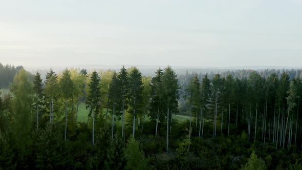 Revealing shot into misty scenery of morning view