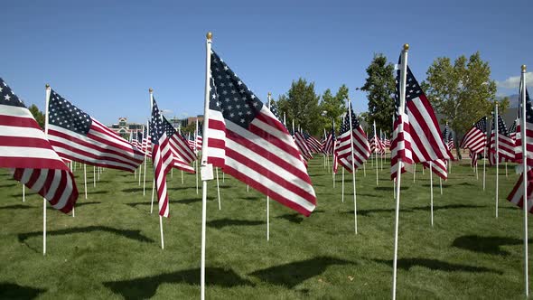 Walking through American Flags waving in the wind