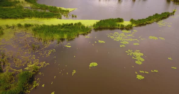 Aerial of a murky, wetland marsh