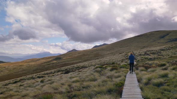 Pan, person walks on boardwalk in exposed alpine landscape, Fiordland, Kepler Track New Zealand