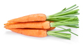 Fresh carrots - PhotoDune Item for Sale