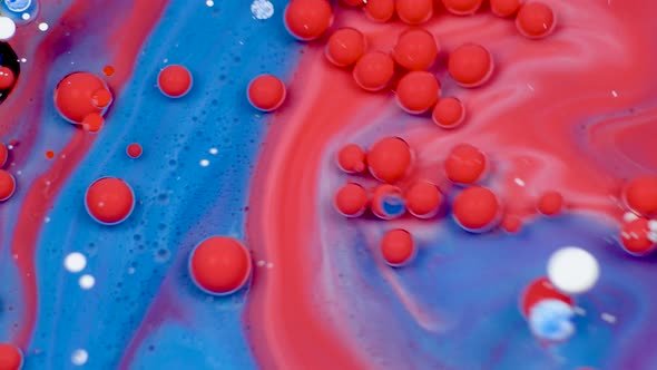 Amazing Red and Blue Bubbles of Paint on the Oil Surface