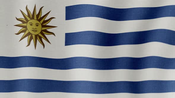 The National Flag of Uruguay alt