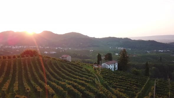 Vineyards from the sky with rural houses in Italy during a summer sunrise. Emotional aerial drone sh