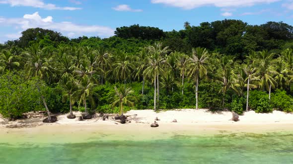 Wild White Sand Beach with Coconut Trees