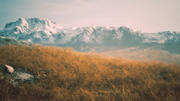 Dry Grass and Snow Covered Mountains in Alaska