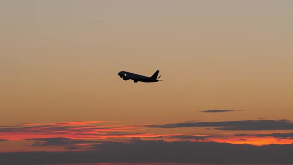 Black Silhouette of Flying Airplane in the Evening Sky