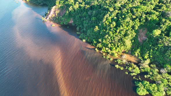 Stunning landscape of Amazon Forest at Amazonas State Brazil.