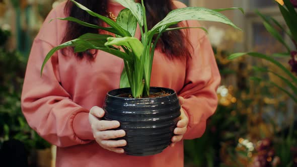 Cropped Shot of Woman Holding Green Potted Plant in Hands