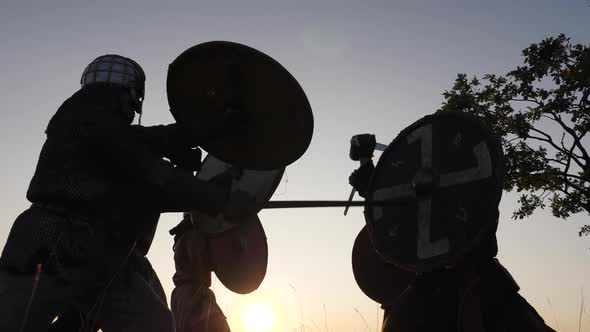 Viking warriors fighting at sunset