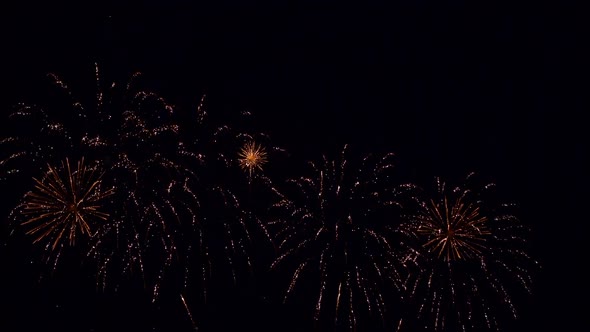 Colorful Firework display at night on sky background