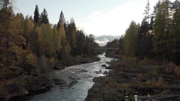 Aerial, low drone shot, close to the water, in a river rapid, towards a bridge, surrounded by colorf