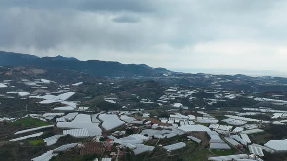 Farm Region Aerial View 4 K Alanya Turkey