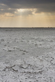 A storm approaching the salt pan, Nxai Pan, Botswana , Africa - PhotoDune Item for Sale