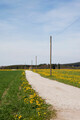 Small country road in Bavaria - PhotoDune Item for Sale
