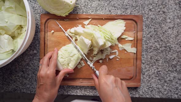 Hands Cutting White Cabbage In Slow Motion. overhead shot