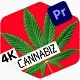 Cannabiz Hemp Product Business Promotion 4K - VideoHive Item for Sale