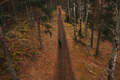 Small Figure of a Woman With Backpack on a Path in the Woods - PhotoDune Item for Sale