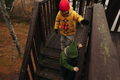 Children Climbing the Stairs of a Wooden Bird Watch Tower in the Forest - PhotoDune Item for Sale