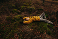 Little Child in the Woods Lying on a Mossy Stones - PhotoDune Item for Sale