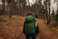 Woman Walking with Backpack in Autumn Forest - PhotoDune Item for Sale