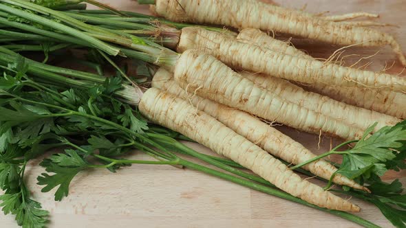 Parsley with roots on wooden cutting board