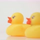 Three toy yellow ducks, spinning on a white background - VideoHive Item for Sale