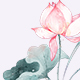 Watercolor Lotus Flower Bouquet Clipart illustration PNG - GraphicRiver Item for Sale