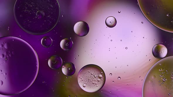 Abstract Colorful Food Oil Drops Bubbles 194 alt
