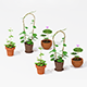 Set cartoon houseplant - 3DOcean Item for Sale