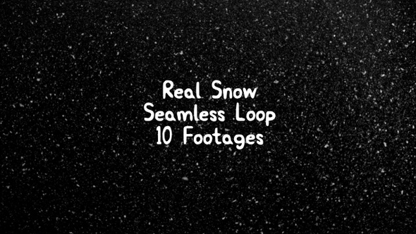 Snow Pack Loop Videos alt
