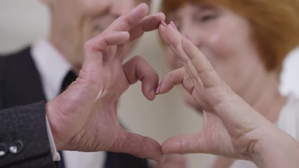 Closeup Wrinkled Senior Male and Female Hands in Heart Shape with Blurred Happy Newlyweds at