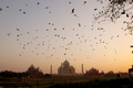 Taj Mahal scenic sunset view in Agra, India - PhotoDune Item for Sale
