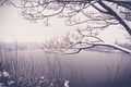 Beautiful winter landscape - PhotoDune Item for Sale