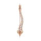 Spine Scoliosis Realistic Composition - GraphicRiver Item for Sale