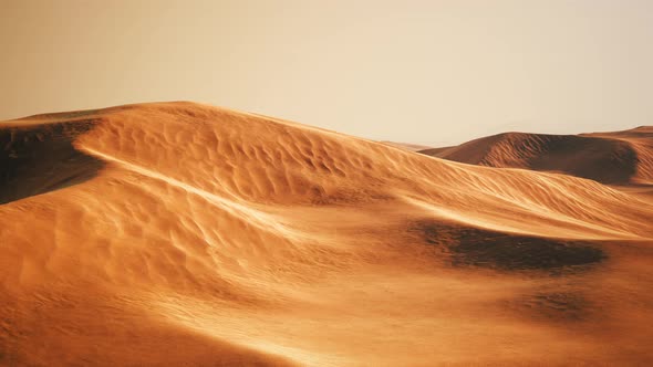 Sunset Over the Sand Dunes in the Desert