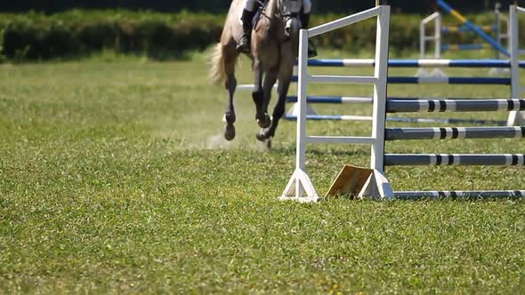 Horse Jumping