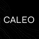 Caleo - Art Gallery WordPress Theme - ThemeForest Item for Sale