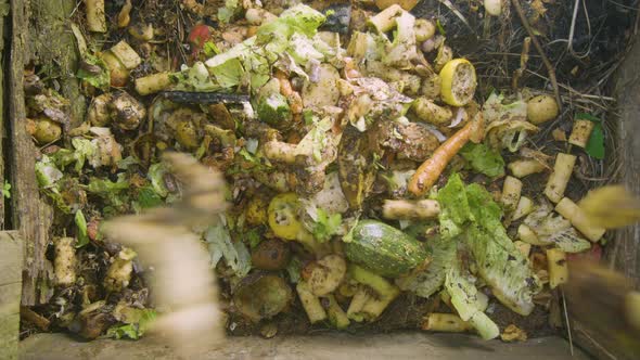 Organic food scraps dropped onto a compost heap in 60fps slow motion