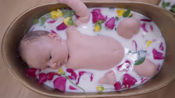 High Angle View Little Infant Baby Girl in Milk Water with Red and Yellow Roses Indoors