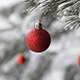 This Christmas