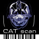 CAT Scan - CT Computed Brain Tomography On Monitor - VideoHive Item for Sale