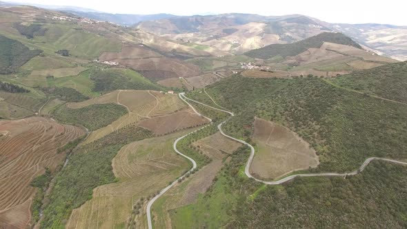 Drone Footage of Douro Mountains Vineyards, Portugal