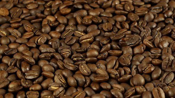 Rotation close-up of coffee beans 360. Golden selected aromatic beans rotate