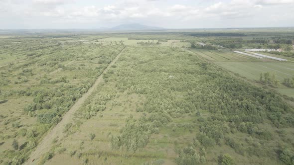 Aerial drone view flight over different agricultural fields sown in Samegrelo, Georgia